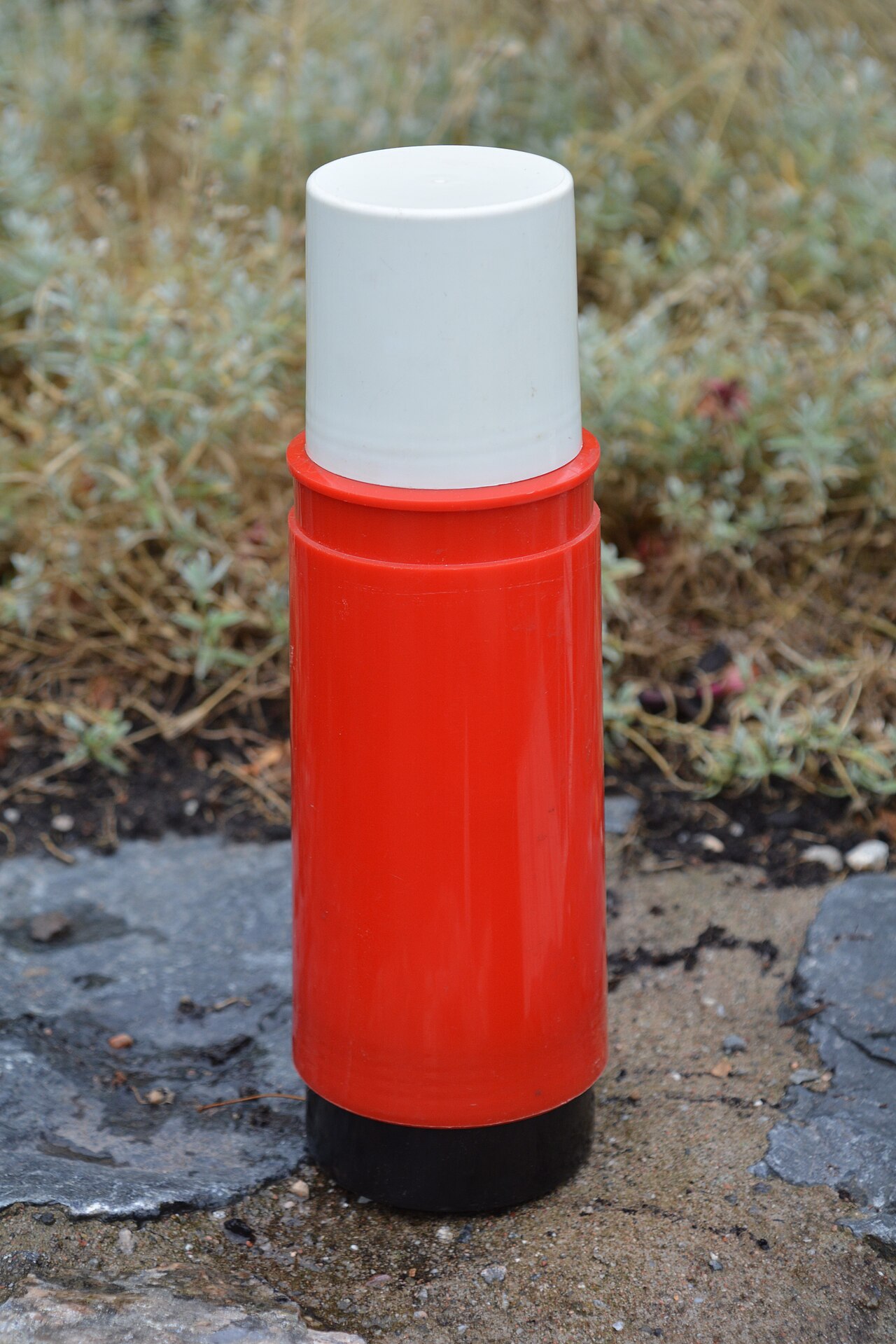 Insulated travel mug with coffee beside a window
